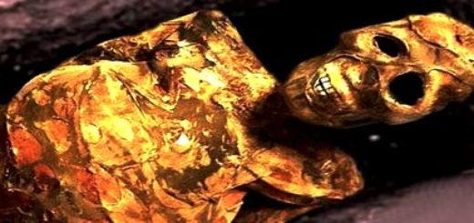 Rozkład ludzkiego ciała