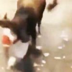 Byk masakruje swoim rogiem, twarz faceta.