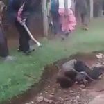 Nie pierwszy i nie ostatni lincz złodzieja, który ma miejsce na kontynencie Afrykańskim.