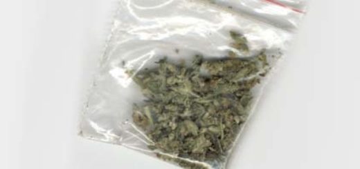 Posiadanie marihuany