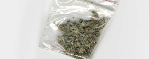 Posiadanie marihuany