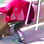 Szmaciarz kopnął kota, prosto do rzeki.