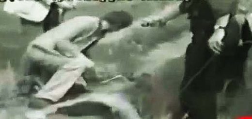 Paweł Tuchlin (skorpion) - wizja lokalna