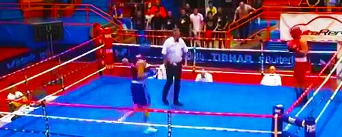 Znokautowany sędzia