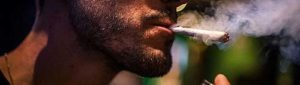 Czy można przedawkować marihuanę?