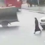 Kiepski dzień – kobieta przejechana na pasach.