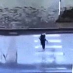 Kobieta wyszła z psem na spacer, sądząc że wróci do domu. Nie wróci.