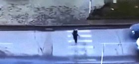 Kobieta wyszła z psem na spacer, sądząc że wróci do domu. Nie wróci.