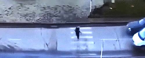 Wypadek z psem na spacerze