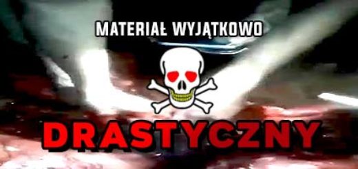 Beszczeszczenie zwłok