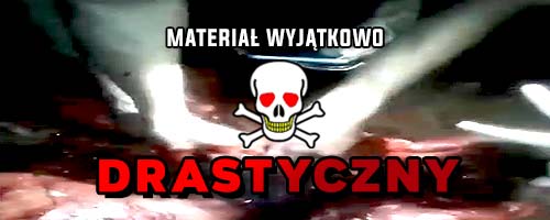 Beszczeszczenie zwłok