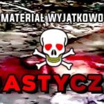 Ta głowa, zdecydowanie nie chciała dać się odciąć.