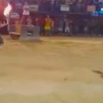 Typowa prowokacja byka, kończy się typowo.