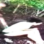 Jej próba okradzenia kartelu, mogla skończyć się dla niej dużo gorzej.