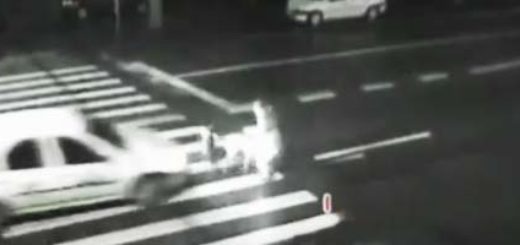 Psy na przejściu dla pieszych