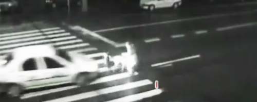 Psy na przejściu dla pieszych