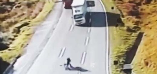 Wjazd rowerem na autostradę