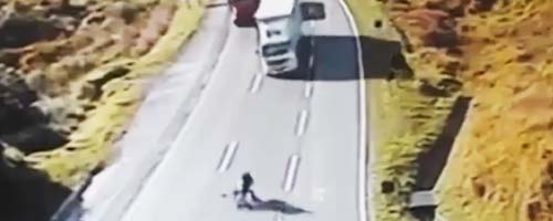 Wjazd rowerem na autostradę