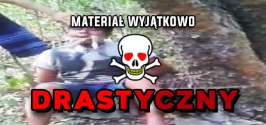 Odcięcie głowy w lesie