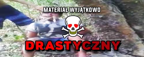 Odcięcie głowy w lesie